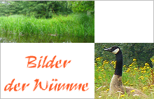 Bildergalerie Wümme